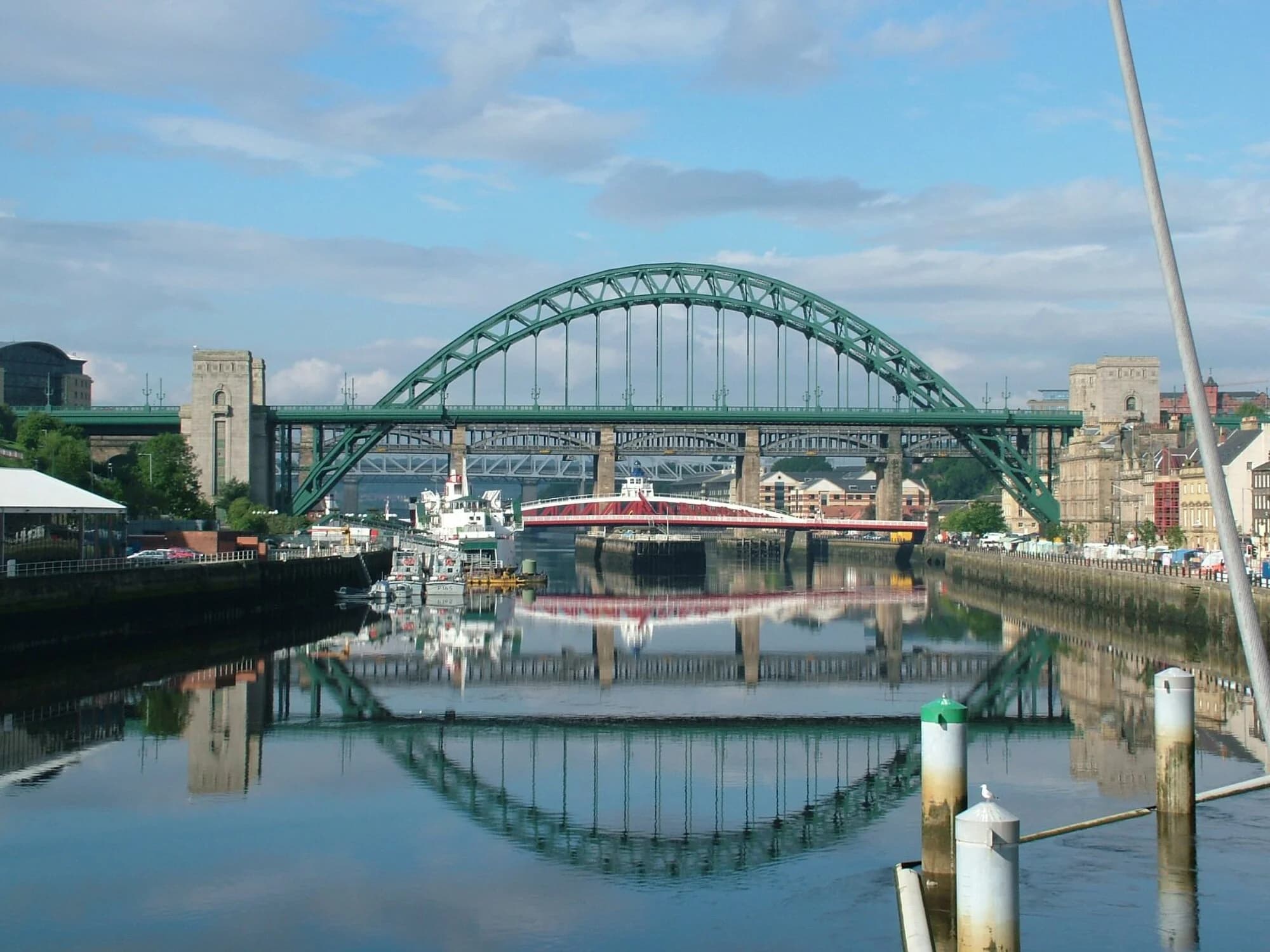 Vets in Tyne and Wear