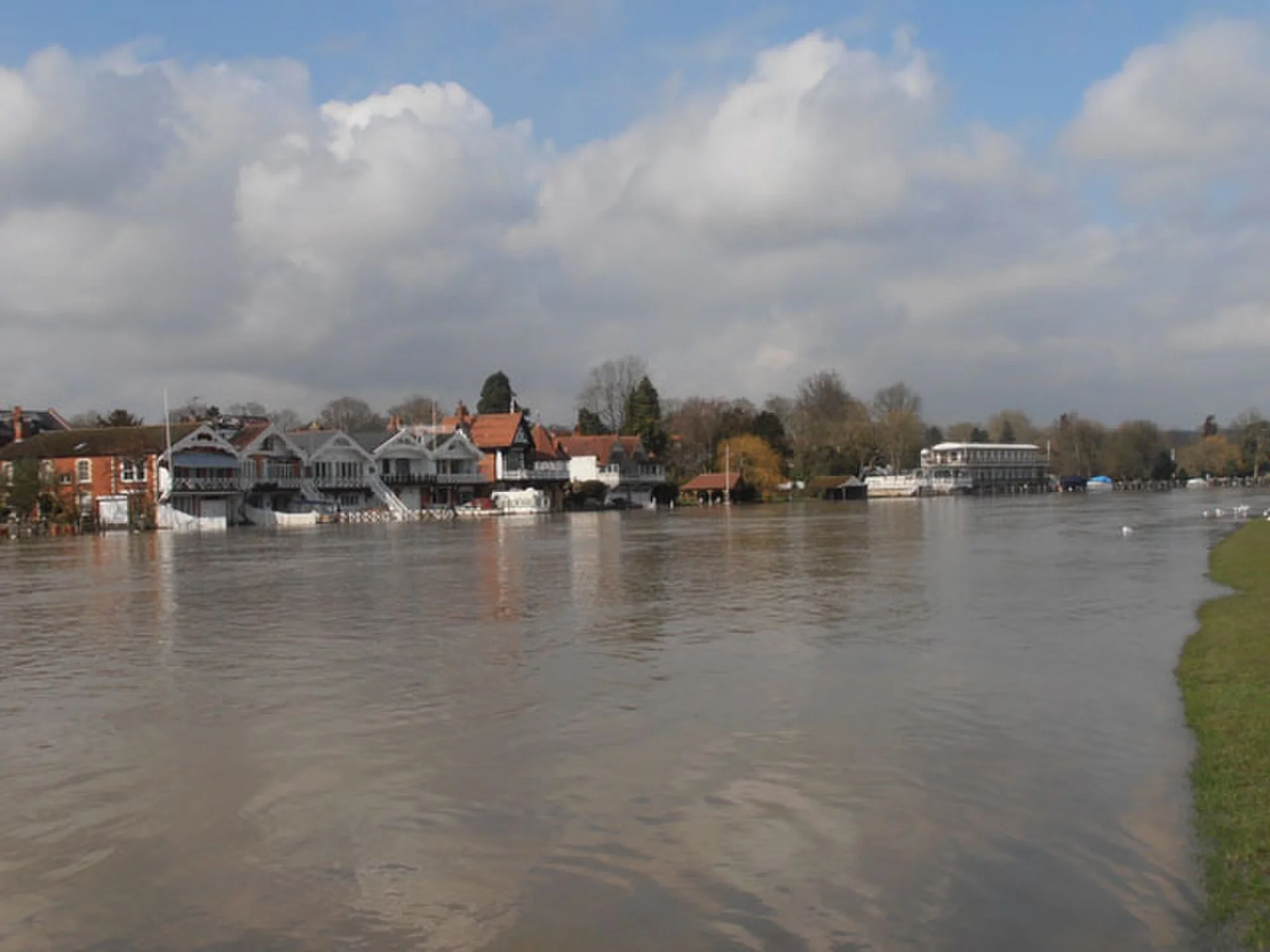 Vets in Henley On Thames