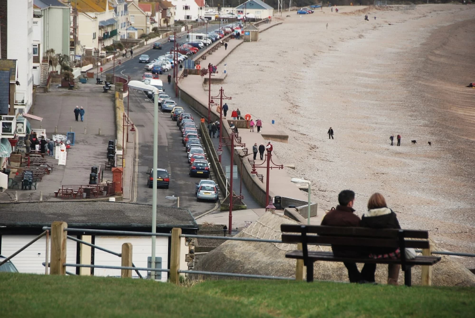 Vets in Seaton