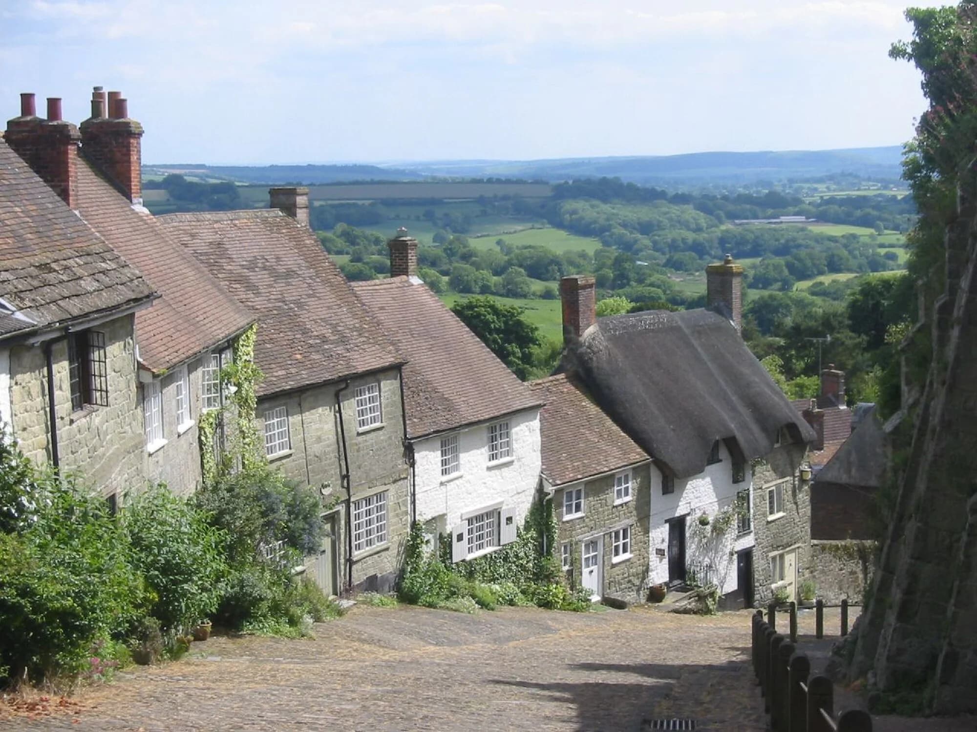 Vets in Shaftesbury
